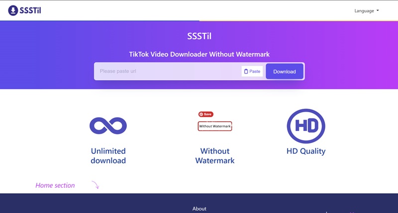 How to Use SSSTil to Download TikTok Videos & Images